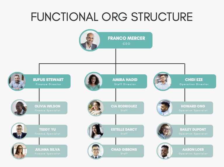 Organisational Structure Charts: Purposes & Benefits | HussetHR